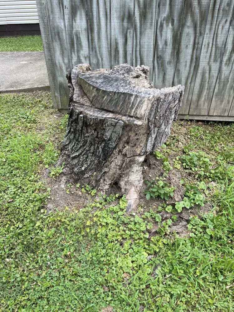 Local landscape design for outdoor upgrades in Fountaintown, IN by Just Stump Grinding