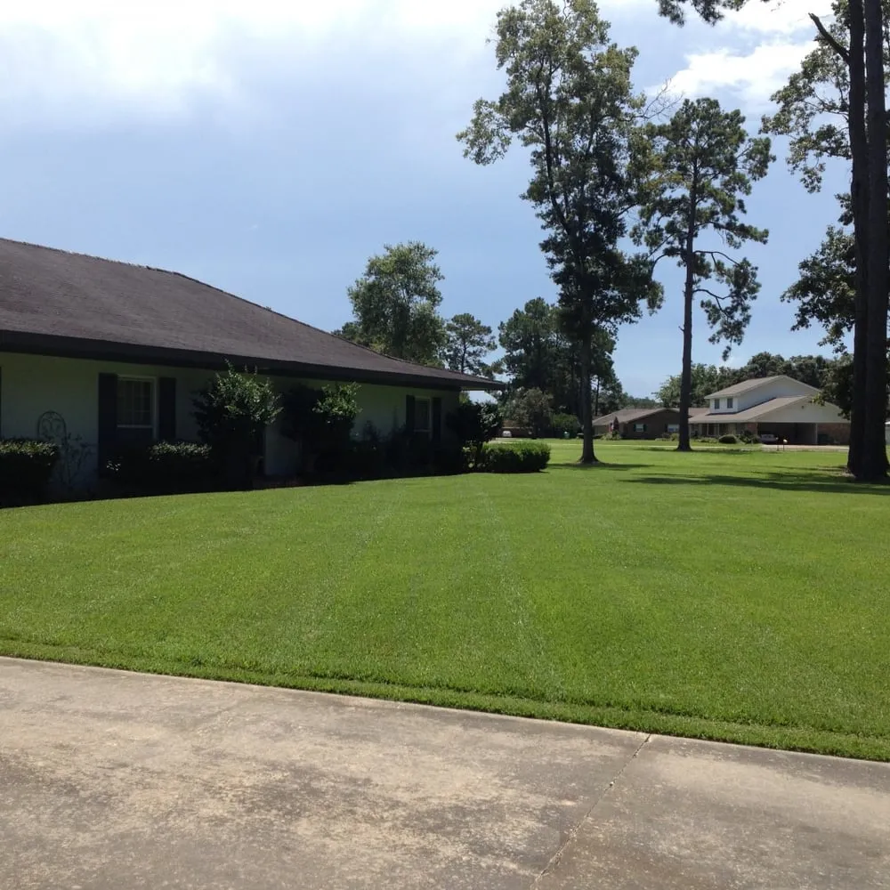 Custom yard maintenance in Crowley, LA - Just the Basics Lawncare