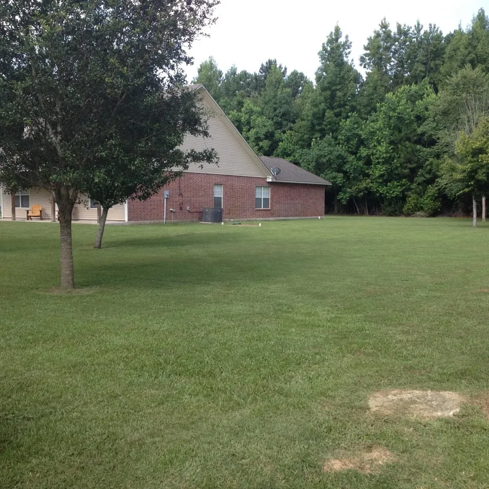 Local lawn care service for beautiful yards across Crowley, LA - Just the Basics Lawncare