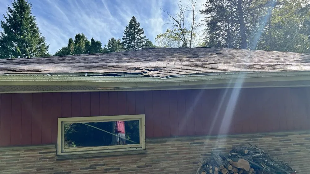 Custom yard maintenance experts serving Menomonee Falls, WI - Just The Tree Guy