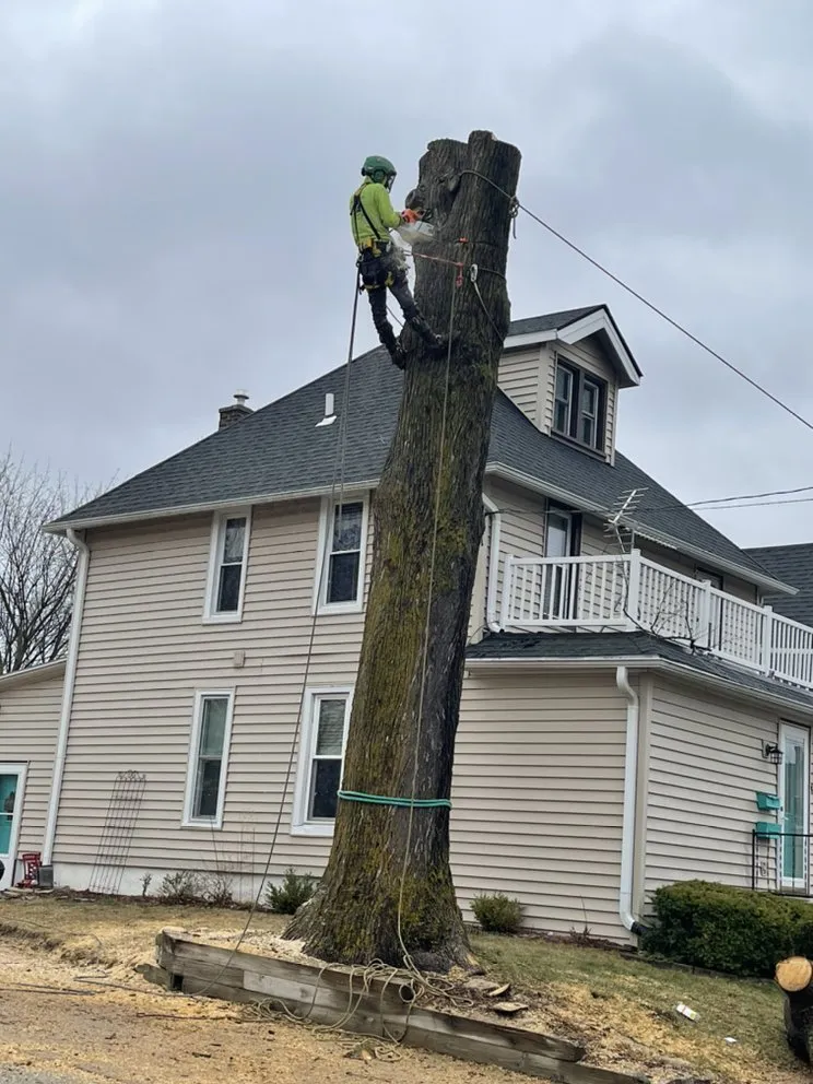 Top-rated landscape design for homes in Menomonee Falls, WI by Just The Tree Guy