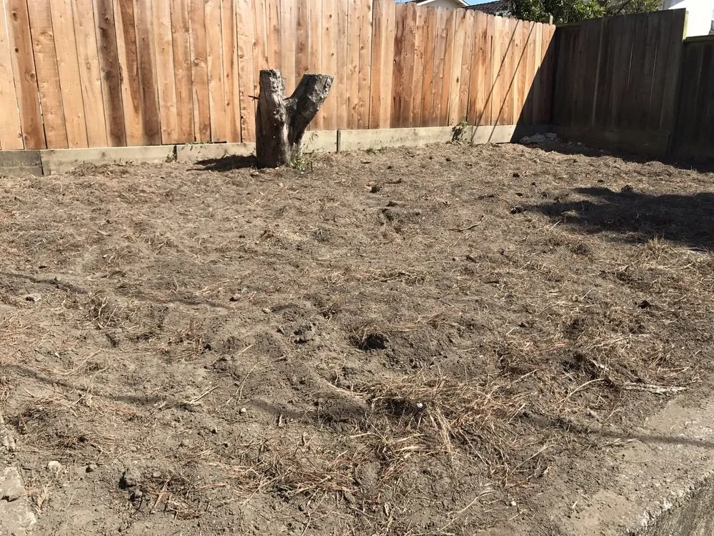 Reliable lawn mowing service experts serving Redwood City, CA - Just Tillin, Rototilling Service