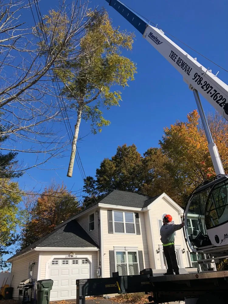 Local landscape installation in Ashby, MA by Just Trees