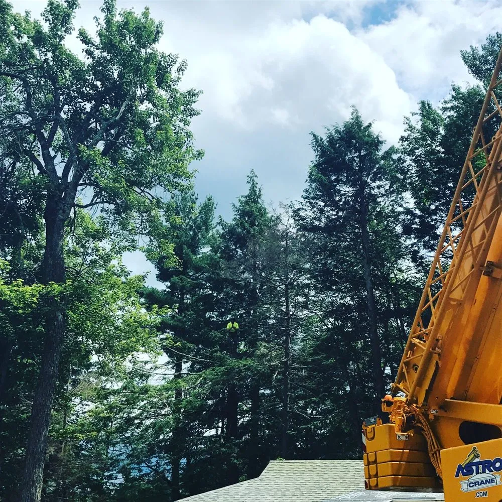 Local yard maintenance experts serving Ashby, MA - Just Trees