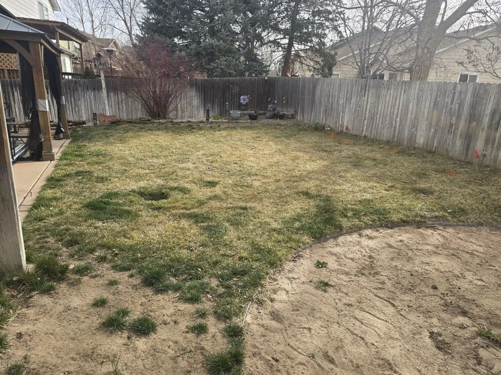 Trusted residential landscaping in Commerce City, CO by Just Turf