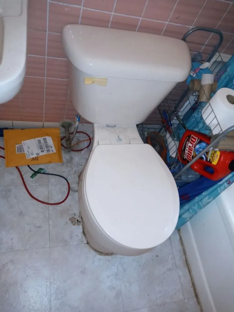 Custom residential landscaping for beautiful yards in College Station, TX by Just Us Cleaning