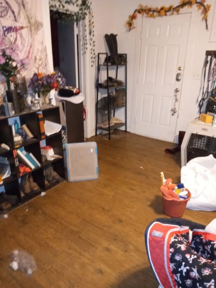 Affordable lawn care service near you in College Station, TX by Just Us Cleaning