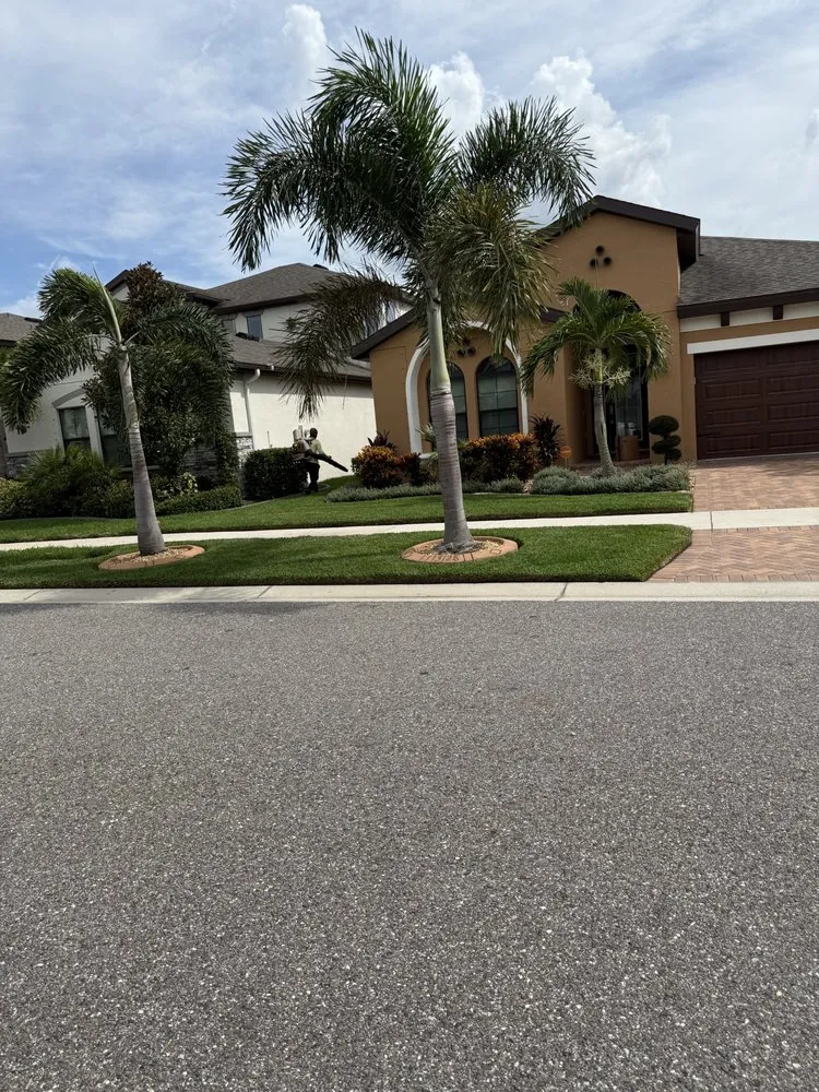 Expert yard cleanup service experts serving Riverview, FL - Just Us Family Lawn Care