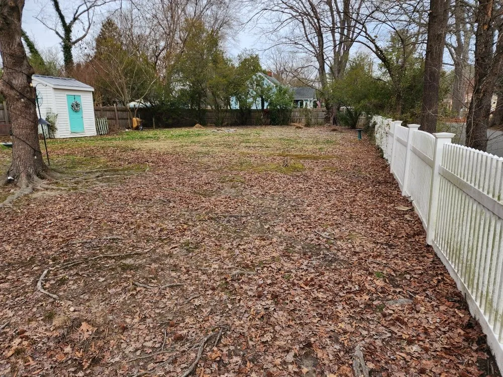 Professional yard maintenance near you in Aylett, VA by Just Us Handyman & Lawn Care