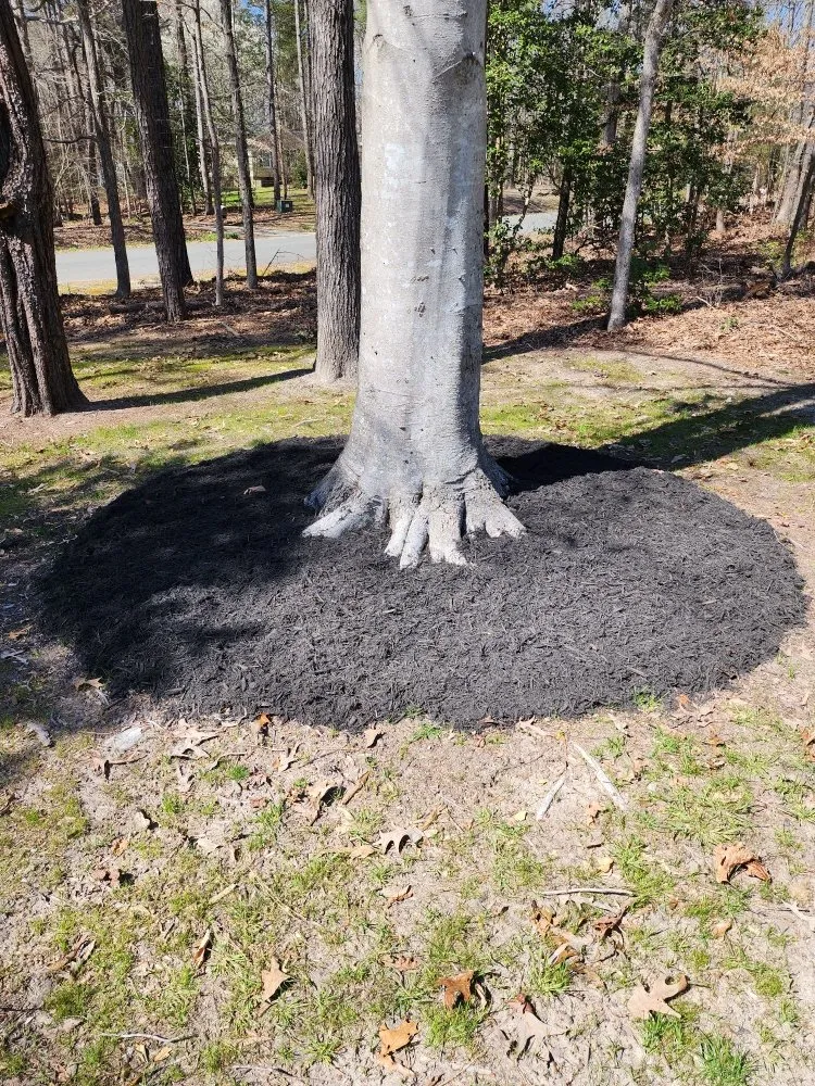 Reliable garden landscaping in Aylett, VA - Just Us Handyman & Lawn Care