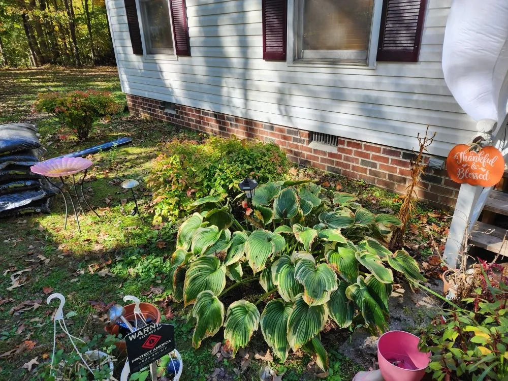 Reliable landscape installation in Aylett, VA - Just Us Handyman & Lawn Care