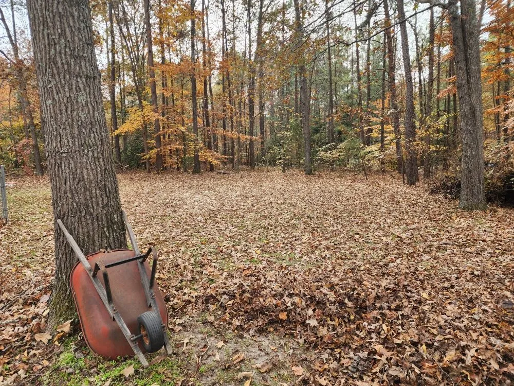 Trusted yard cleanup service experts serving Aylett, VA - Just Us Handyman & Lawn Care