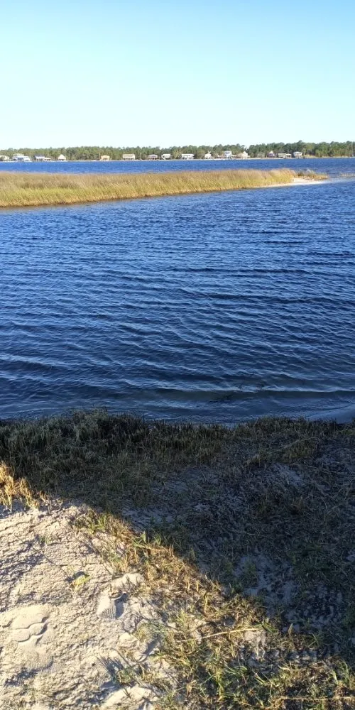 Top-rated yard cleanup service in Foley, AL - Just Us Landscape Services