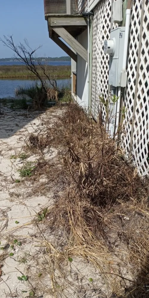 Reliable outdoor landscaping in Foley, AL by Just Us Landscape Services