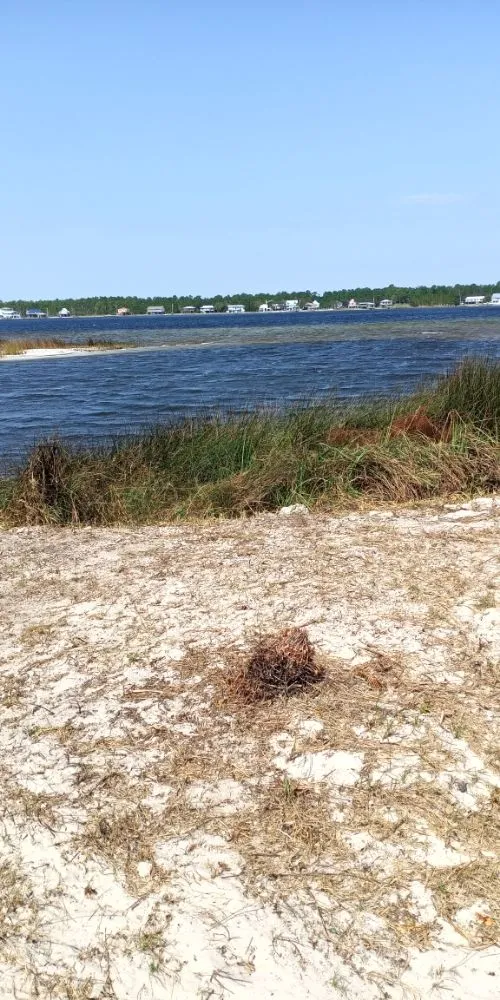 Professional yard maintenance in Foley, AL - Just Us Landscape Services