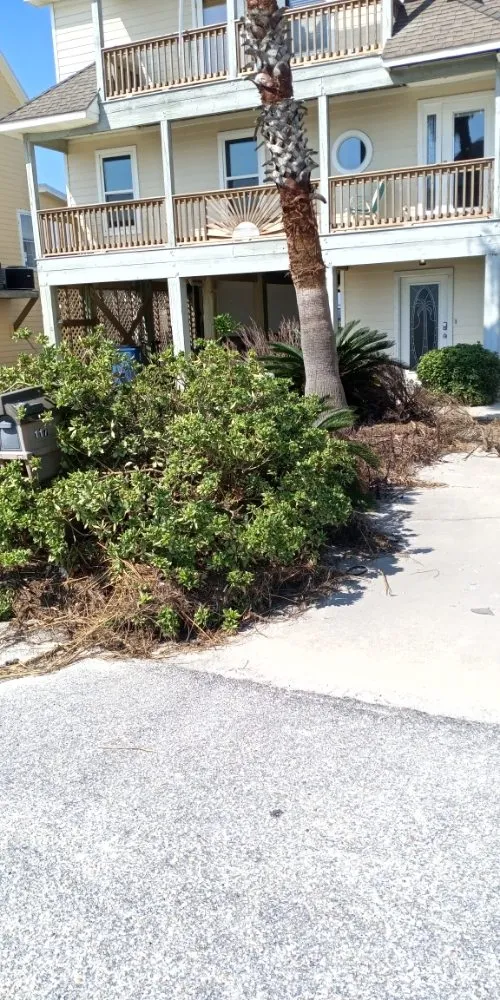 Professional landscape design in Foley, AL - Just Us Landscape Services