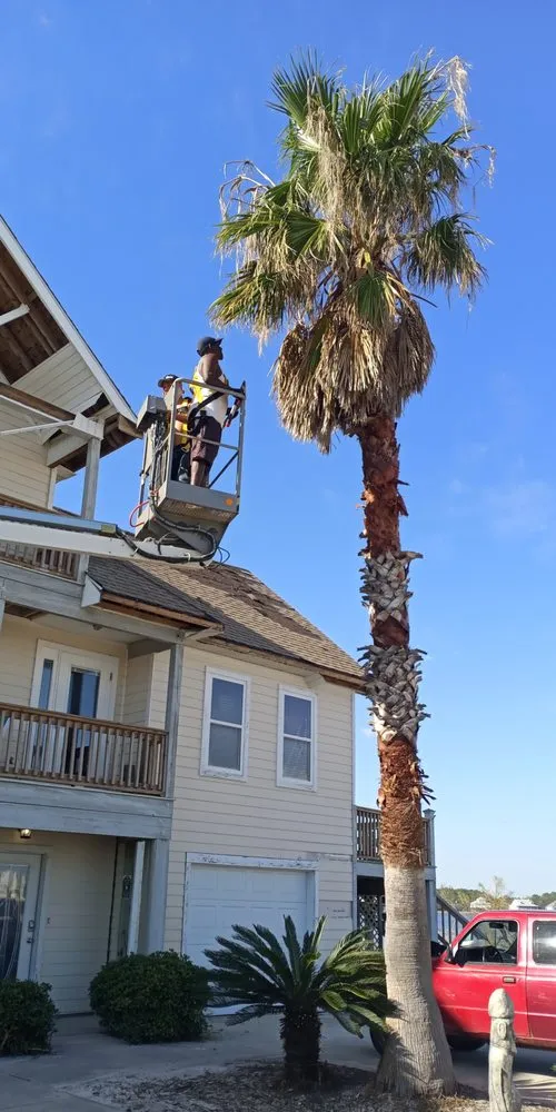 Local yard cleanup service in Foley, AL by Just Us Landscape Services