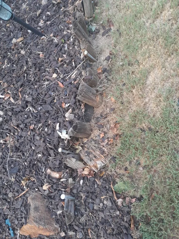 Local yard cleanup service in Jasper, GA - Just-us landscaping