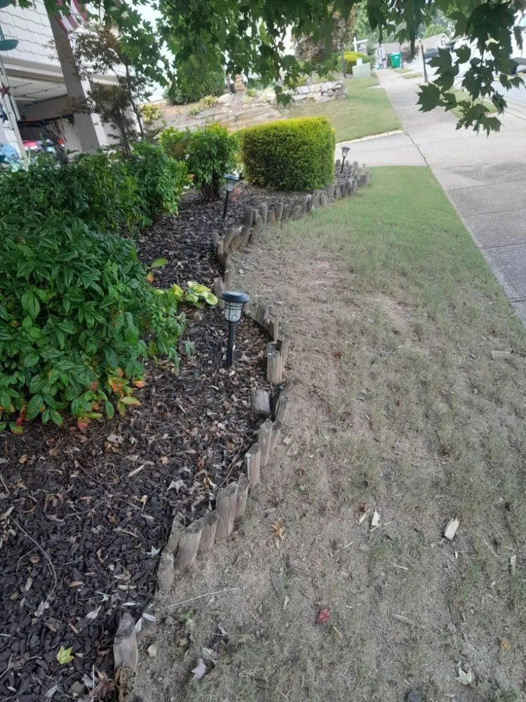 Expert yard cleanup service in Jasper, GA - Just-us landscaping