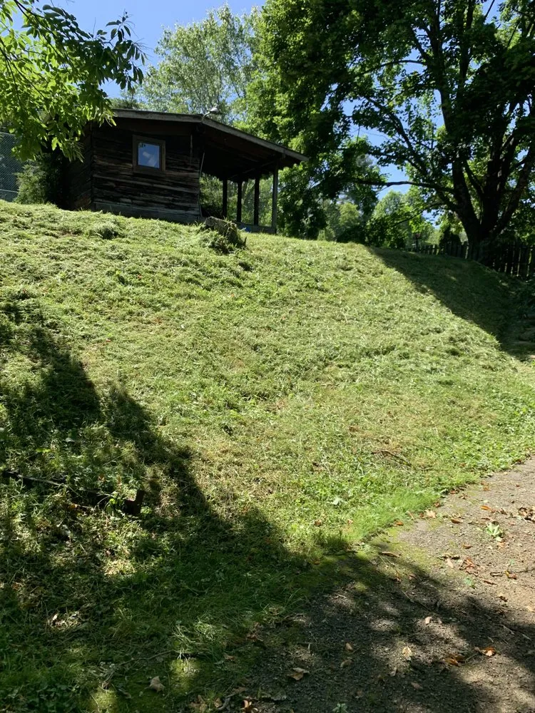 Expert yard cleanup service experts serving Chilhowie, VA - Just Us Lawn Care