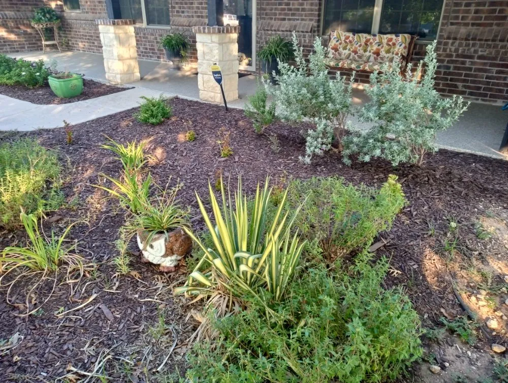 Professional yard maintenance in Newark, TX by Just You Way Lawn & Garden Service