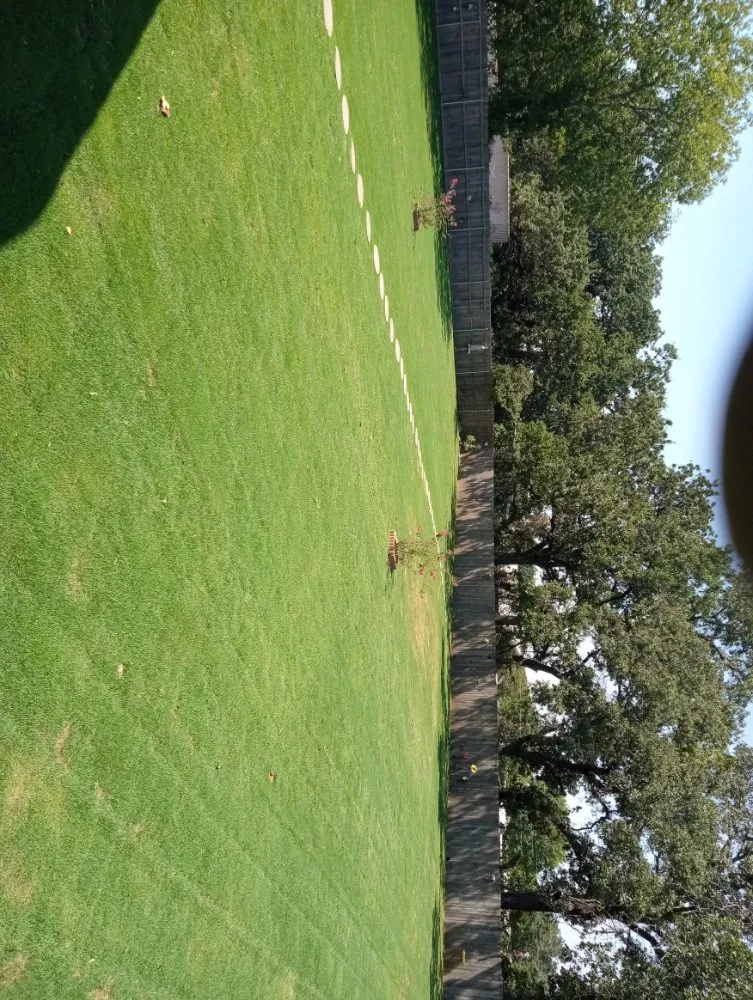 Trusted yard maintenance in Newark, TX - Just You Way Lawn & Garden Service