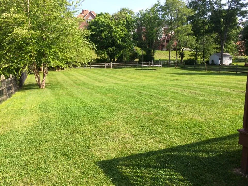 Custom lawn care service for year-round maintenance in Hurricane, WV by Justice Brothers Lawn Care