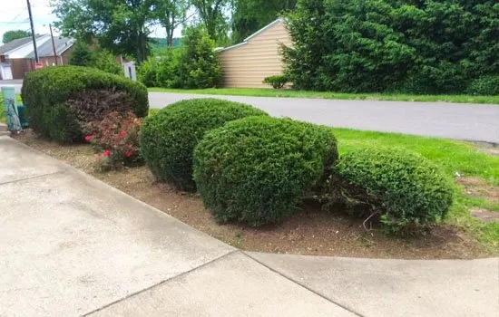 Trusted landscape installation in Hurricane, WV by Justice Brothers Lawn Care