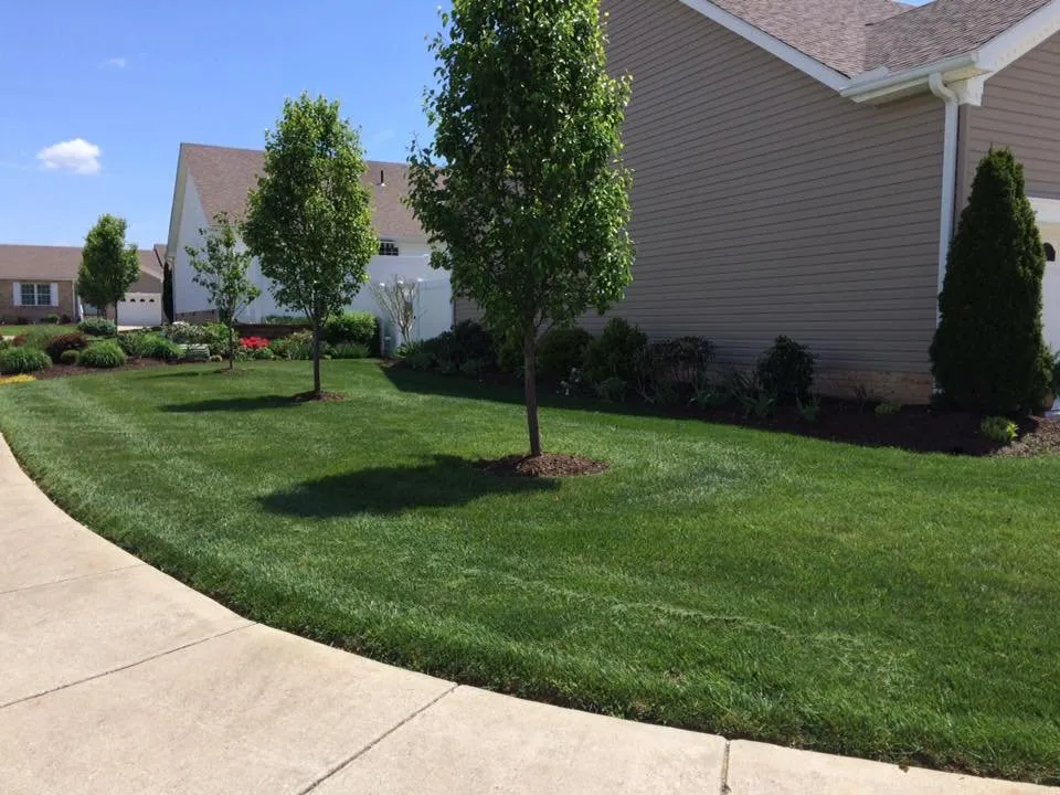 Affordable yard maintenance for year-round maintenance across Hurricane, WV - Justice Brothers Lawn Care