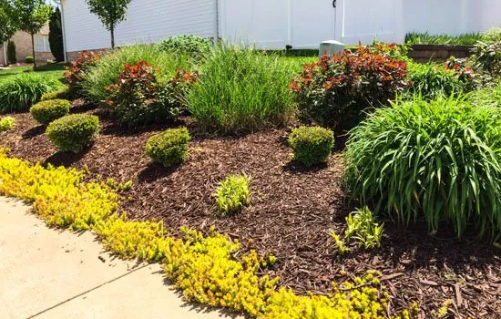 Affordable yard maintenance for outdoor upgrades across Hurricane, WV - Justice Brothers Lawn Care