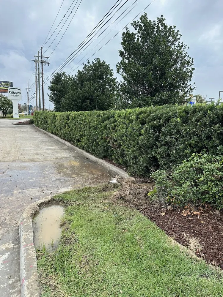 Reliable landscape design in Baton Rouge, LA - Justice For Lawns