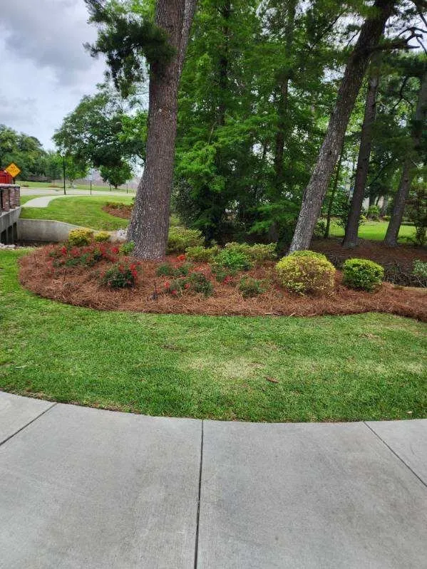 Reliable yard cleanup service experts serving Baton Rouge, LA - Justice For Lawns