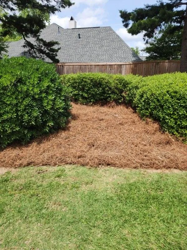 Expert lawn care service experts serving Baton Rouge, LA - Justice For Lawns