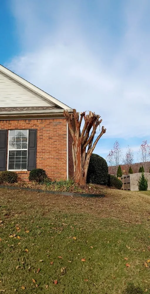 Local yard cleanup service for beautiful yards across Toney, AL - Justice for Lawn's