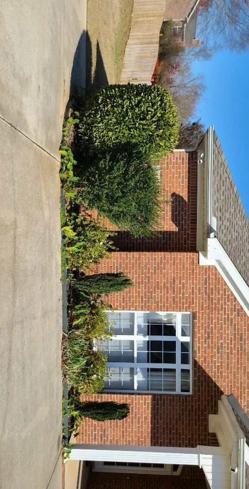 Trusted yard maintenance near you across Toney, AL - Justice for Lawn's