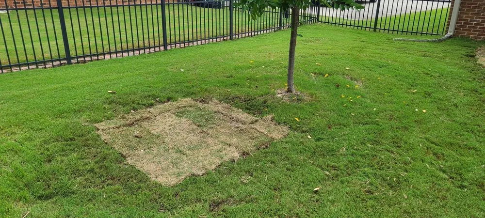 Professional outdoor landscaping for residential properties across Toney, AL - Justice for Lawn's