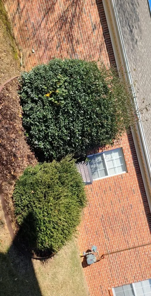 Reliable landscape installation in Toney, AL by Justice for Lawn's