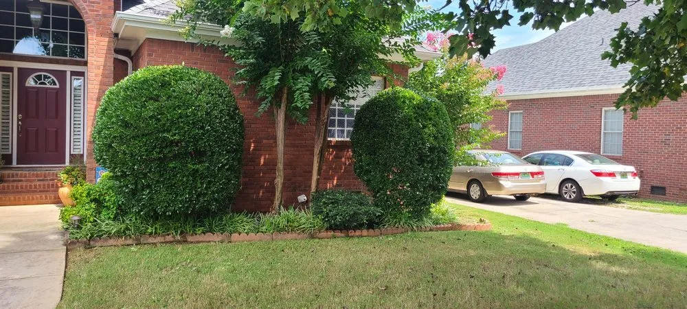 Affordable outdoor landscaping experts serving Toney, AL - Justice for Lawn's