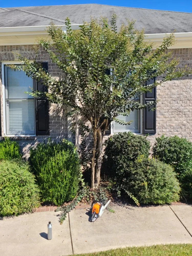 Custom yard cleanup service near you in Toney, AL by Justice for Lawn's