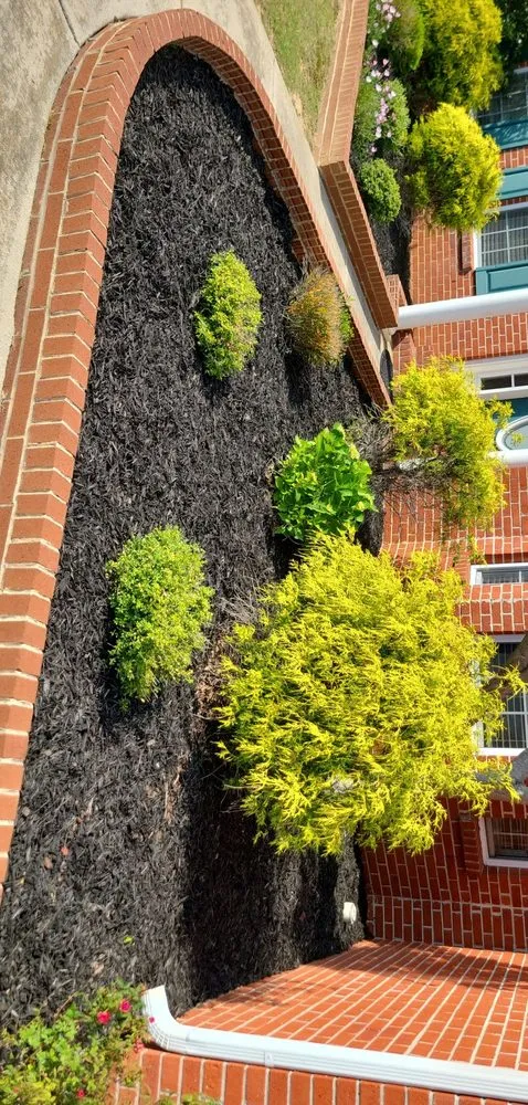 Affordable yard cleanup service for beautiful yards across Toney, AL - Justice for Lawn's