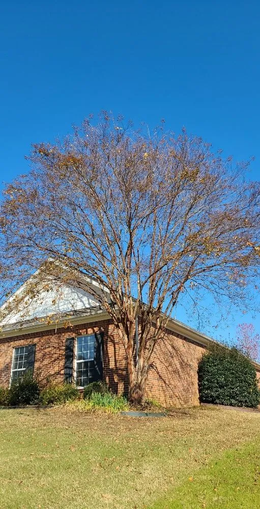 Custom garden landscaping with custom design across Toney, AL - Justice for Lawn's