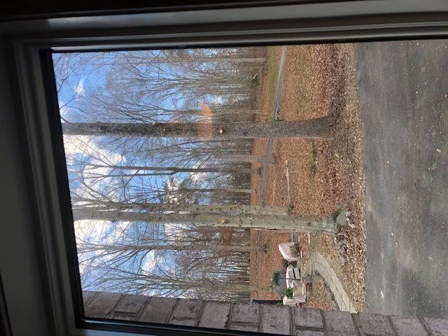 Professional landscaping services in Manassas, VA - Justice Landscaping And Tree Work Services