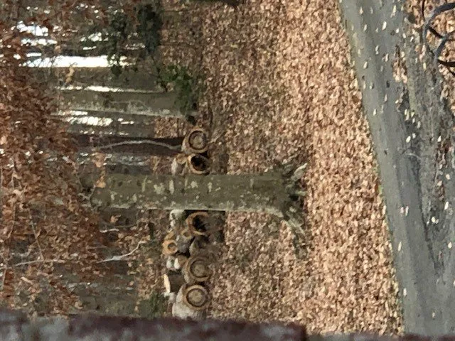 Top-rated lawn mowing service in Manassas, VA by Justice Landscaping And Tree Work Services