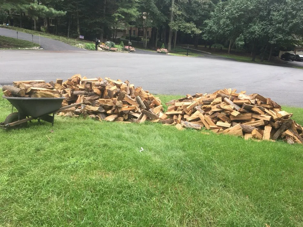 Top-rated yard cleanup service in Manassas, VA by Justice Landscaping And Tree Work Services