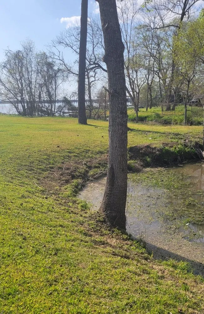 Reliable lawn care service experts serving Dayton, TX - Justice Lawn Care