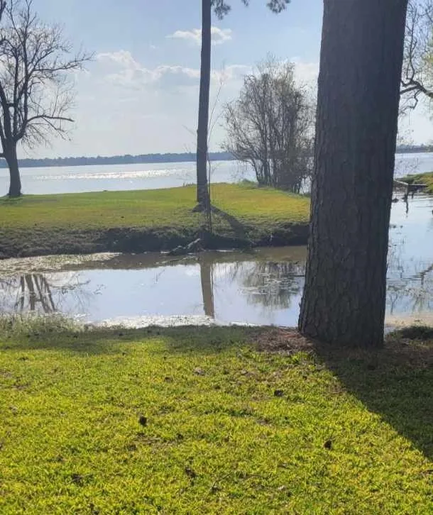 Local landscape design for year-round maintenance in Dayton, TX by Justice Lawn Care