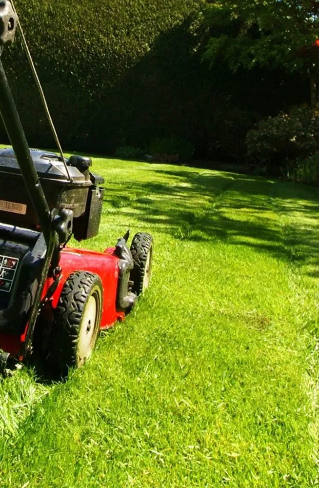 Trusted landscape installation in Kingsport, TN - Justice Mowing and Odd Jobs