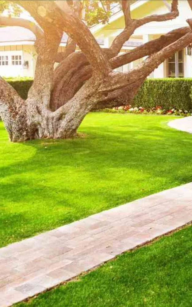 Expert outdoor landscaping in Kingsport, TN by Justice Mowing and Odd Jobs