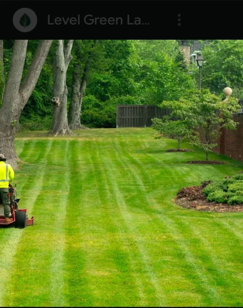 Reliable yard cleanup service for beautiful yards in Kingsport, TN by Justice Mowing and Odd Jobs