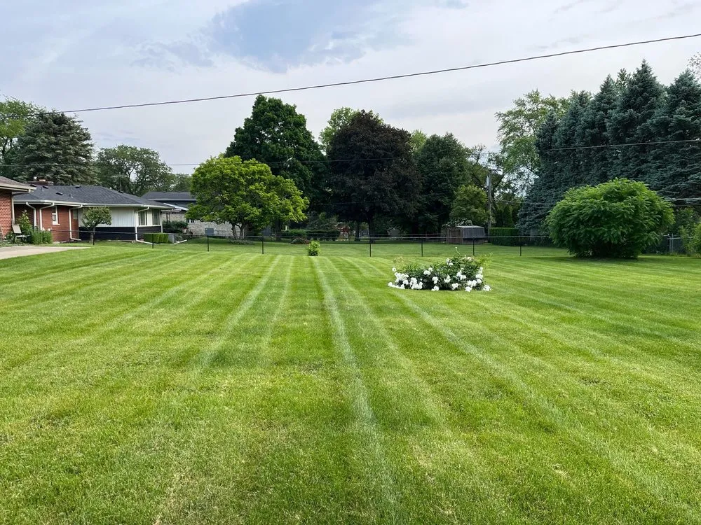 Custom landscaping services for year-round maintenance across Itasca, IL - Justified Living Landscaping